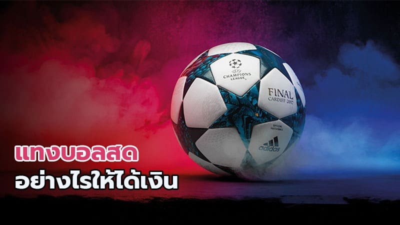 แทงบอลสด คือ